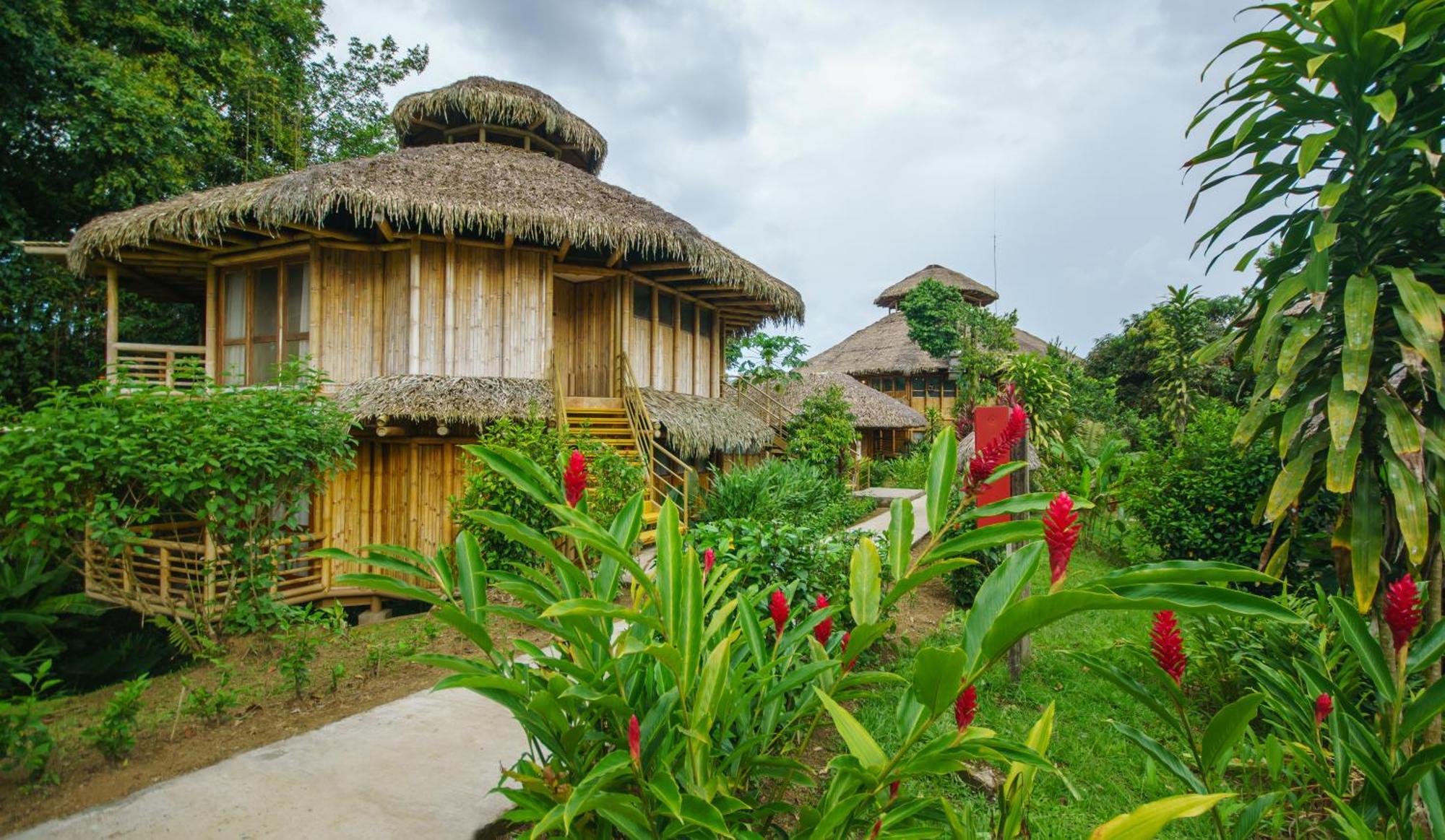 La Selva Eco-Lodge & Retreat Providencia المظهر الخارجي الصورة