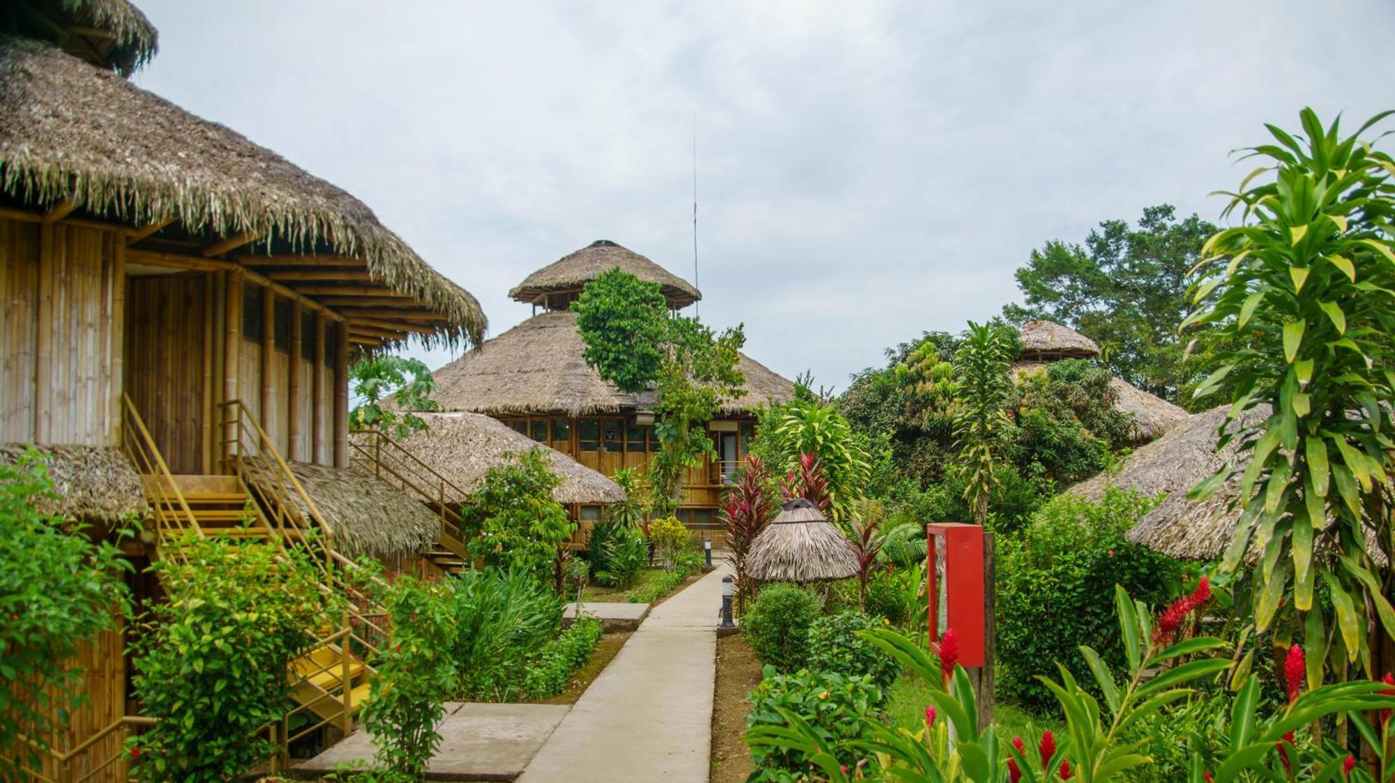 La Selva Eco-Lodge & Retreat Providencia المظهر الخارجي الصورة