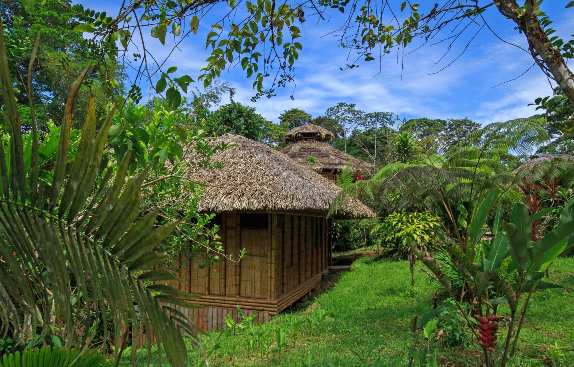 La Selva Eco-Lodge & Retreat Providencia المظهر الخارجي الصورة