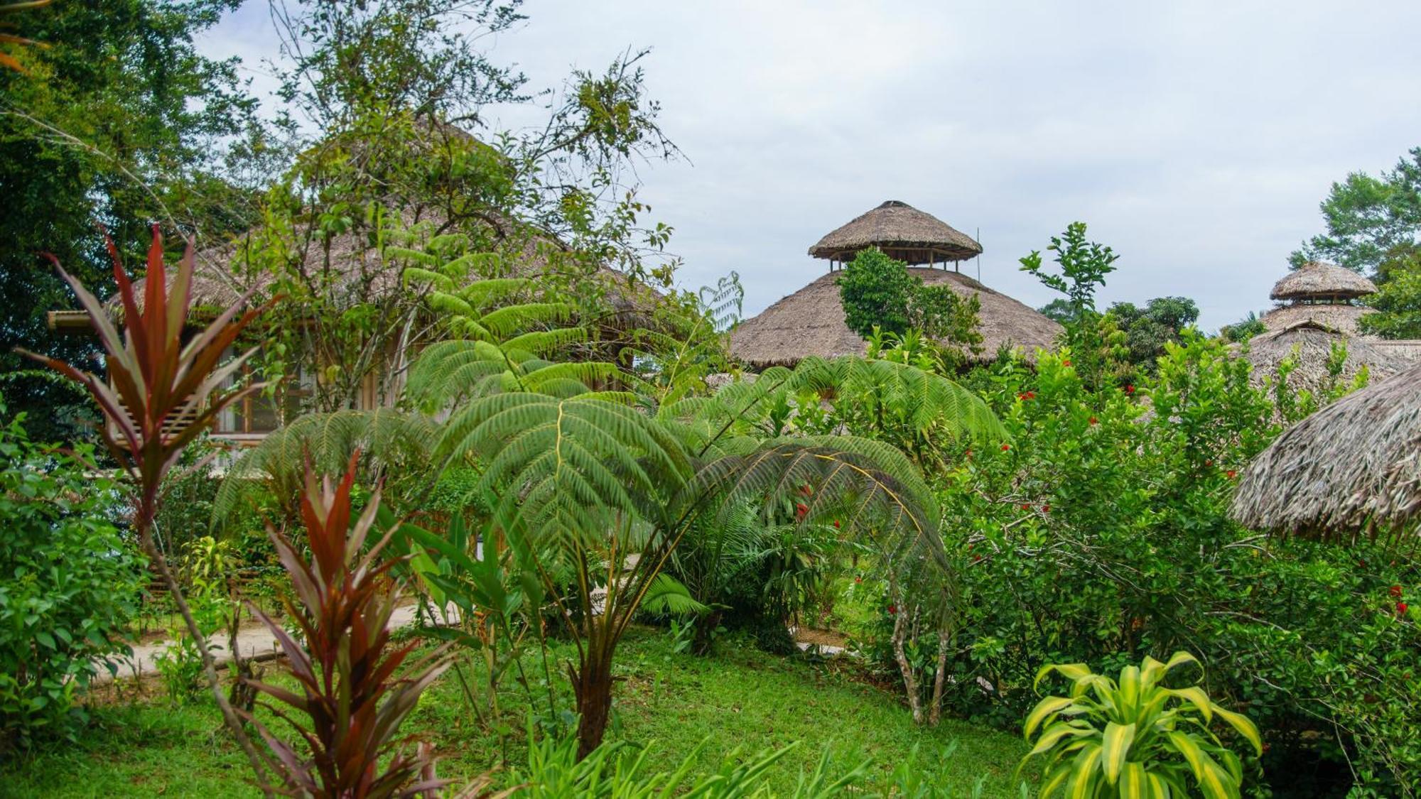 La Selva Eco-Lodge & Retreat Providencia المظهر الخارجي الصورة