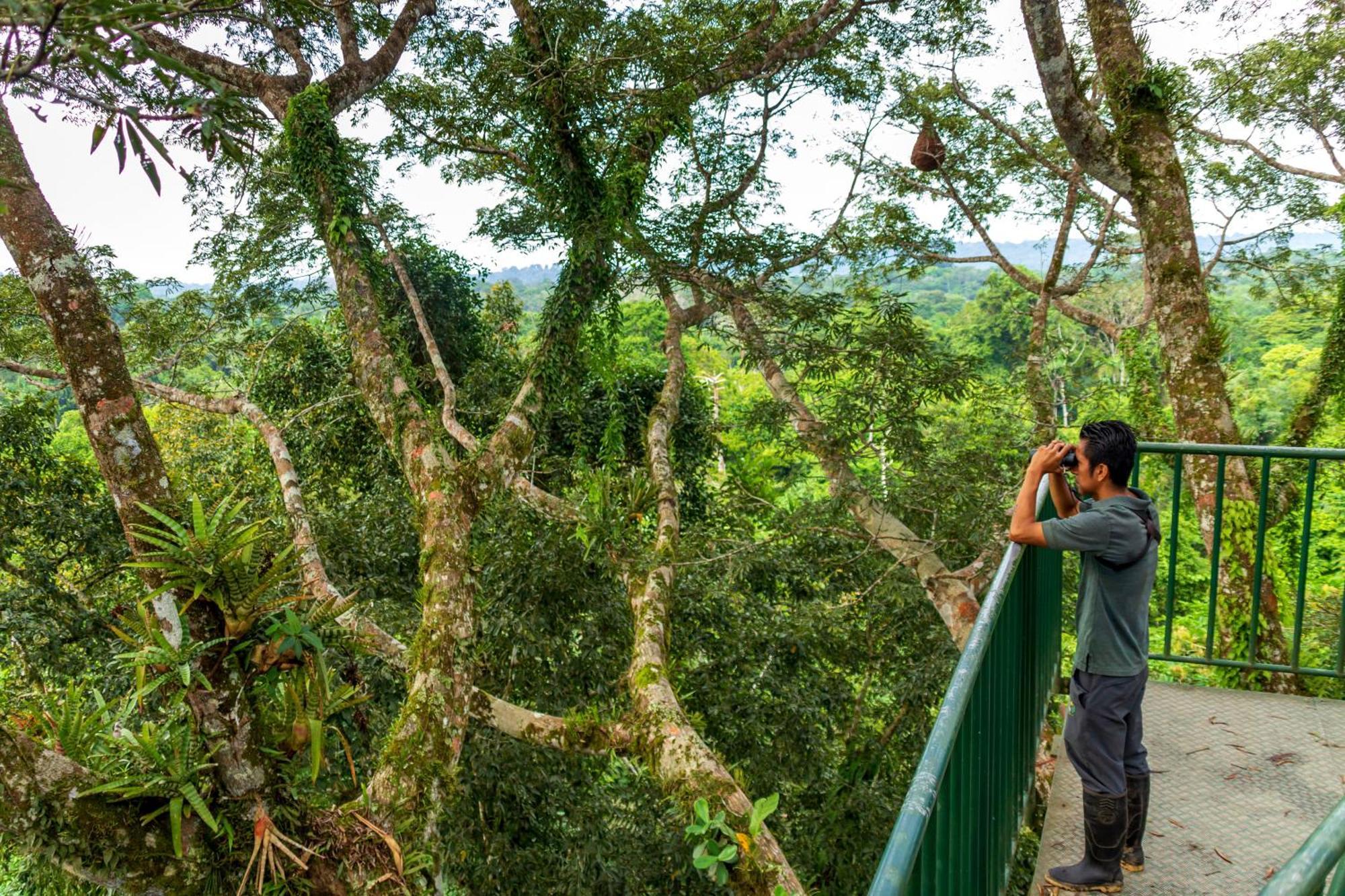 La Selva Eco-Lodge & Retreat Providencia المظهر الخارجي الصورة