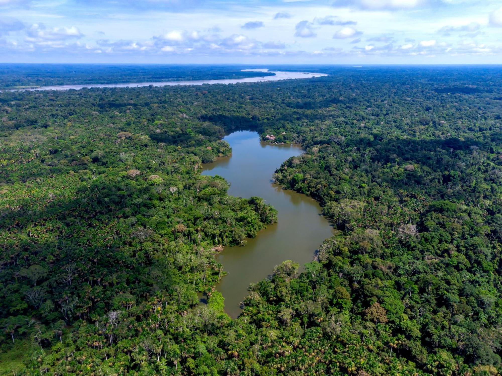 La Selva Eco-Lodge & Retreat Providencia المظهر الخارجي الصورة